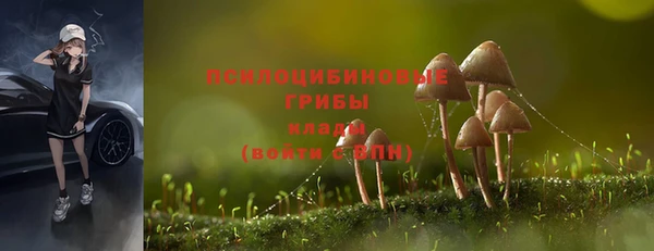 бутират Алзамай